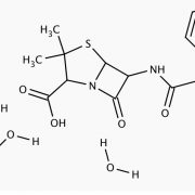 Ampicillin trihydrate, USP grade_5